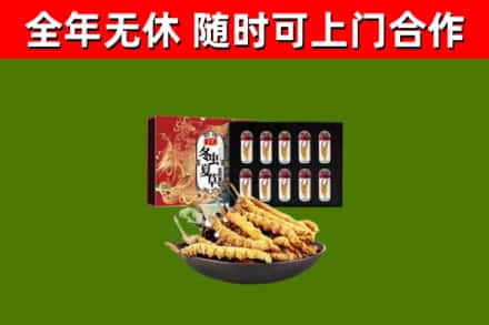 营口烟酒回收冬虫夏草礼盒.jpg